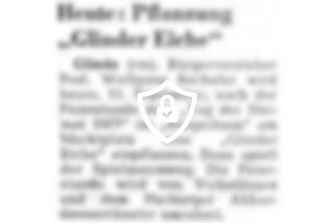 Heute: Pflanzung "Glinder Eiche"