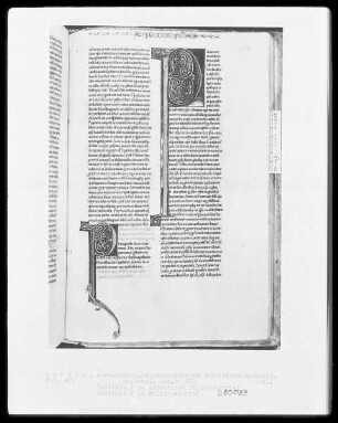 Heisterbacher Bibel — Zwei Initialen P, Folio 483recto