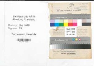 Entnazifizierung Heinrich Dornemann , geb. 17.10.1902 (Regierungsrat)