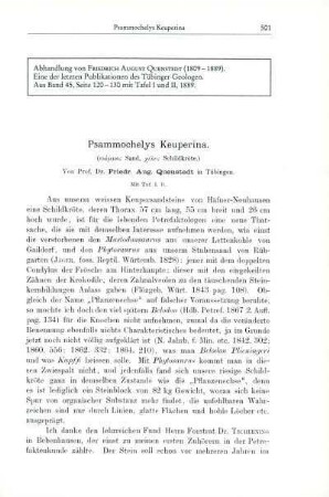 Psammochelys Keuperina [Bd. 45, 1889]