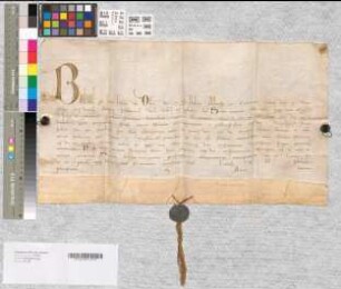 Papst Bonifatius VIII. bestätigt der Äbtissin und dem Kloster Brenkhausen, "Cisterciensis ordinis", alle von seinen Vorgängern gewährten Freiheiten, Privilegien und Immunitäten.