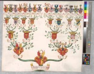 Proband: Wrede, Ferdinand Alexander von; Vater: Wrede, [Caspar] von; Mutter: Korff, [Catharina] von: Deutscher Orden