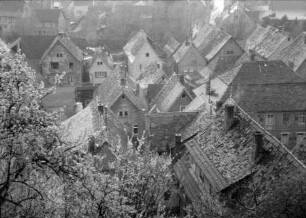 Zwingenberg: Blick vom Kirchplatz auf Dächer und Blüten