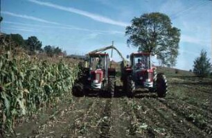 Fotografie: Maissilage, Maishäcksler angebaut, Parallelverfahren, Ernteverfahren