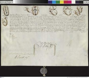 Aussteller: Pius VI. Empfänger: Domkapitel von Posen. Betreff: Erhebung des Ignacy Antoni Raczynski zum Bischof von Posen (kleine Ausfertigung).