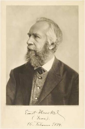 Fotogravur Ernst Haeckel
