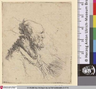 [Kahlköpfiger Mann mit kurzem Bart im Profil nach rechts; Bald Old Man with a Short Beard in Profile Right;Vieillard chauve à courte barbe]