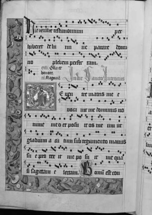 Graduale (Benediktinerhandschrift) — Initiale D (e ventre matris) mit Johannes dem Täufer, Folio 213verso