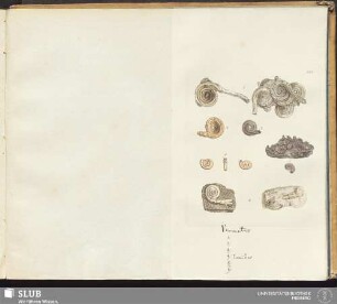 596.