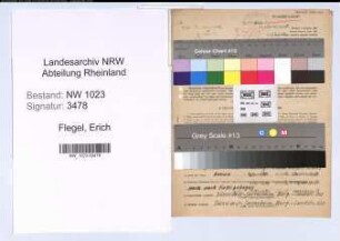 Entnazifizierung Erich Flegel , geb. 07.09.1898 (Ingenieur)