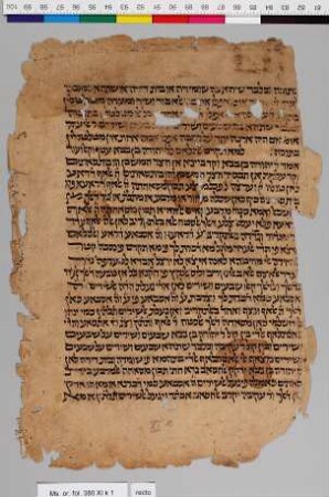 Kommentar zur Mishnah : Fragment