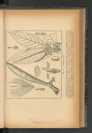 Fig. 18.
