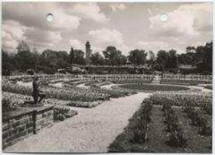 Essen, Grugapark