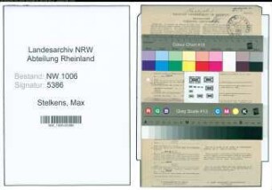 Entnazifizierung Max Stelkens , geb. 09.02.1897 (Holzhaendler)