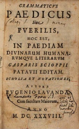 Grammaticus paedicus