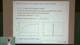 Phase transitions for the McKean-Vlasov equation on the torus