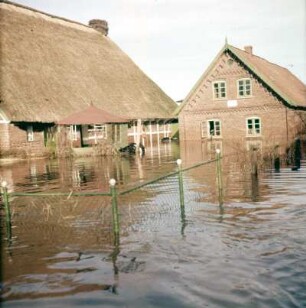 Sturmflut Hamburg 1962. Überflutetes Gehöft