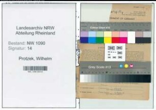 Entnazifizierung Wilhelm Protzek , geb. 03.12.1902 (Steinschleider)