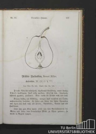 Nr. 83. December - Januar. Millets Butterbirn, Beurré Millet. Butterbirn.