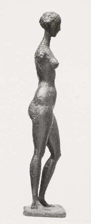 Weiblicher Torso