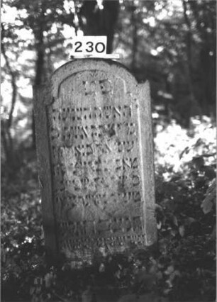 Grabstein 230 (Index: 100113472) Maße HxBxT: 114x55x7 cm: Grabstein 230