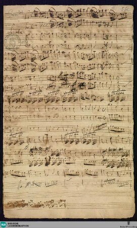 Sonata grossa - Mus. Hs. 481 : strings, woodwinds; e; BrinzingMWV 4.9