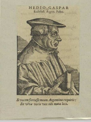 Bildnis des Gaspar Hedio