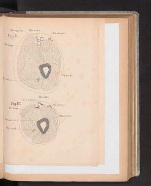 Fig. III.
