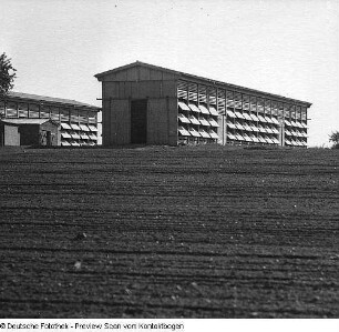 Landwirtschaft (Lagerhäuser, Neubau, Kongreß mit Krolikowski, Buchstand, Kartoffelsortieren, Gewächshaus, Kartoffeln, Getreideernte mit Mähdreschern, Auszeichnung auf dem Feld, Pflügen, Pflanzhütchen)