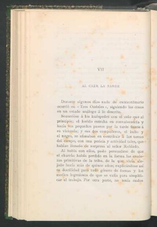 VII - Al caer la tarde