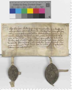 Die zwölf Ratsmannen bekunden für das Kloster in Heiligenthal den Erwerb 1/2 Fuders in Einge [Sülzhaus]. [lat]