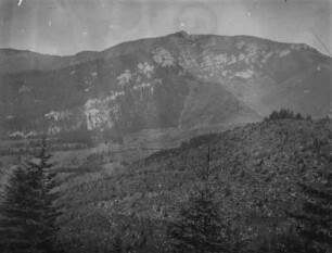 Rodung : Blick auf eine gerodete Waldfläche in der Bildmitte, im Hintergrund Berge mit Wald auf den Hängen