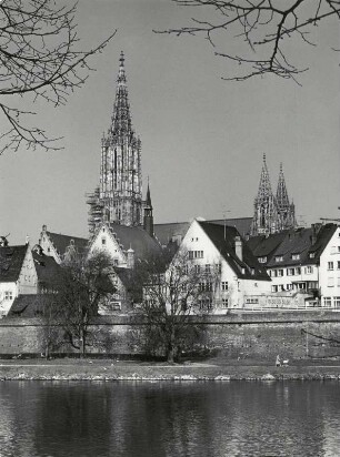Donauschwabenufer in Ulm mit Blick auf den Münster