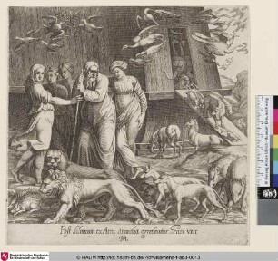Post diluvium ex Area animalia egrediuntur. Genes. VIII