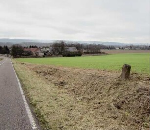 Gemarkungsgrenzstein Eltville-Oberwalluf (Grenzstein); Eltville, Steinheimer Hof