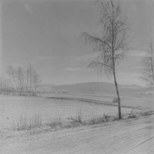Landschaften : Oberlausitz. Lausitzer Bergland. Winteraufnahme