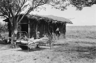 Bett in der Pampa : Blick auf Gitterbetten vor einer Holzhütte