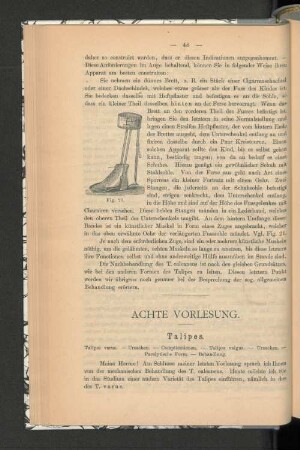 Achte Vorlesung.