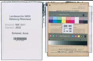 Entnazifizierung Anna Schemel , geb. 01.06.1903 (Putzmacherin)