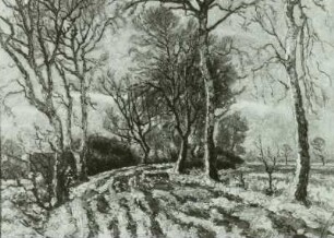 Birkenweg im Winter