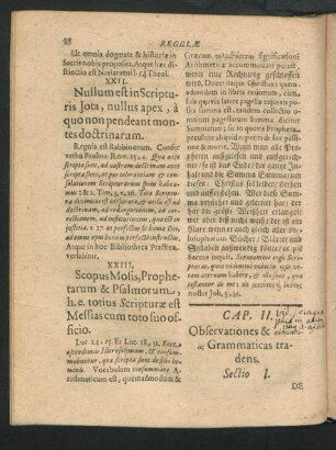Cap. II. Observationes & Grammaticas tradens.