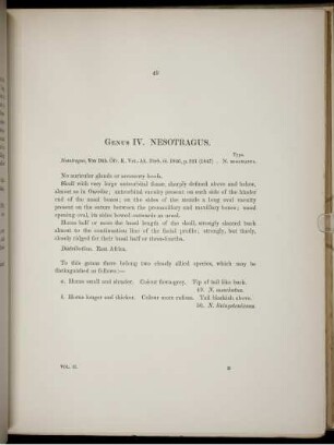 Genus IV. Nesotragus.