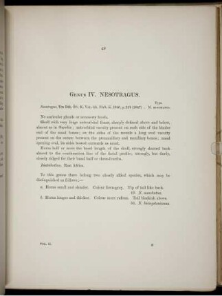 Genus IV. Nesotragus.