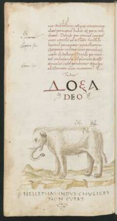 Federzeichnung, laviert (nach Cyriacus von Ancona): Elefant mit drei Mücken