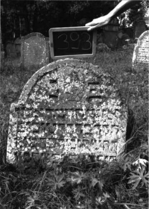 Grabstein 393 (Index: 100102835) Material: Sandstein Zustand: stark verwittert, eingesunken, teilweiser Textverlust Maße HxBxT: 74x66x7 cm Beschreibung: Stele, eingezogener Rundbogenabschluss, Schriftfeld eingetieft, im Bogen eingeritzte Levitenkanne Symbolik: Levitenkanne: Grabstein 393