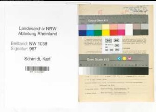 Entnazifizierung Karl Schmidt , geb. 04.08.1891 (Bevollmaechtigter)