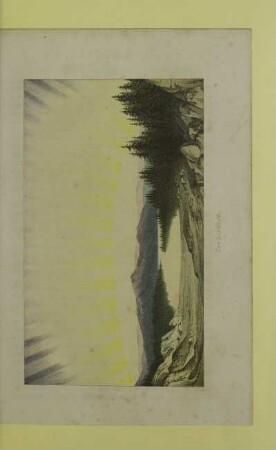 Das Nordlicht