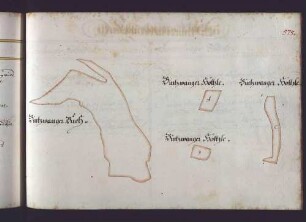 Schlierbacher Hut: Binzwanger Hölzle; Binzwanger Buch