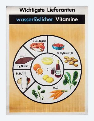 Wichtigste Lieferanten wasserlöslicher Vitamine