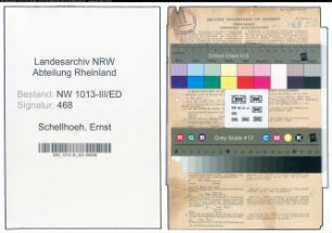 Entnazifizierung Ernst Schellhoeh , geb. 20.02.1901 (Ingenieur)